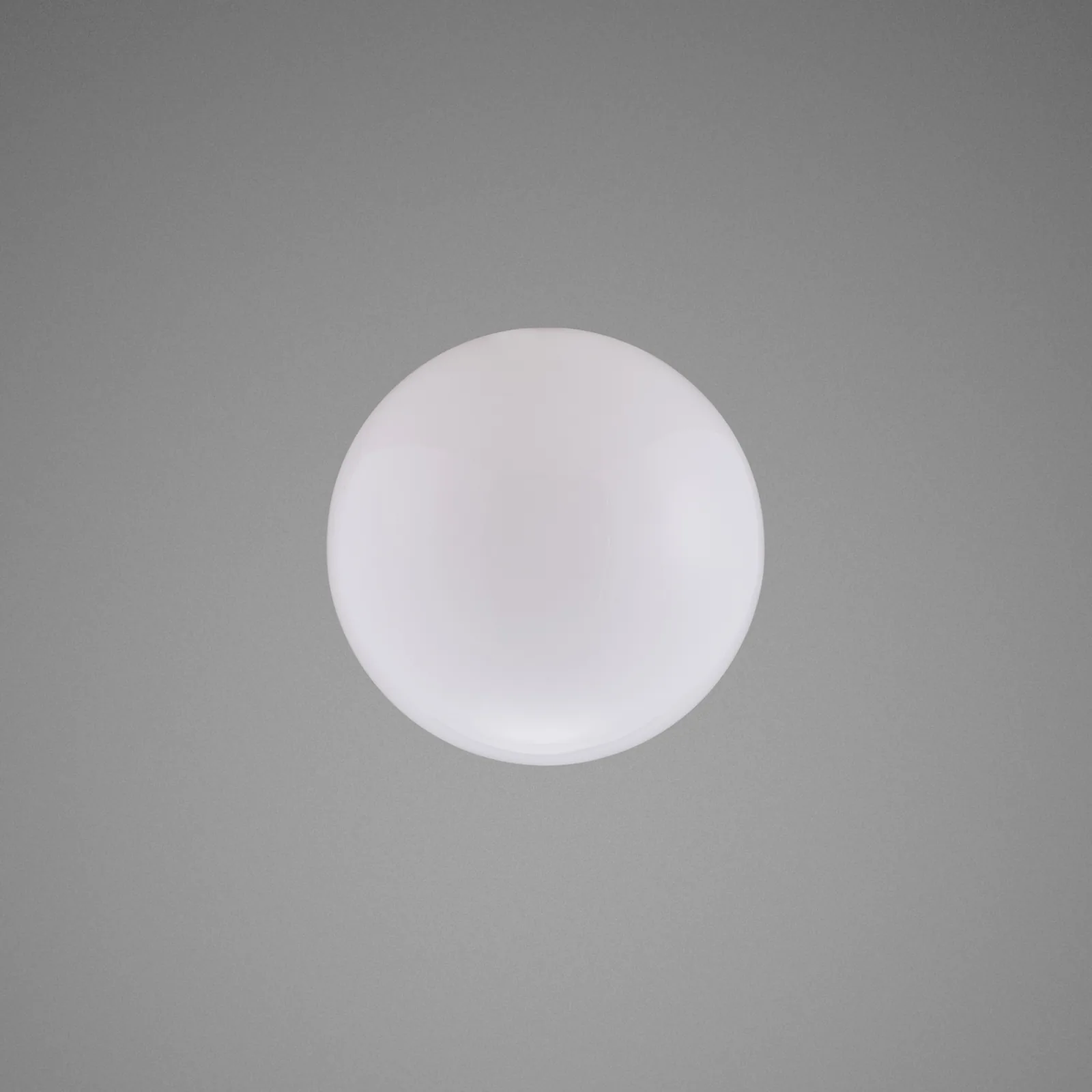 Forked globe, medium, Opal