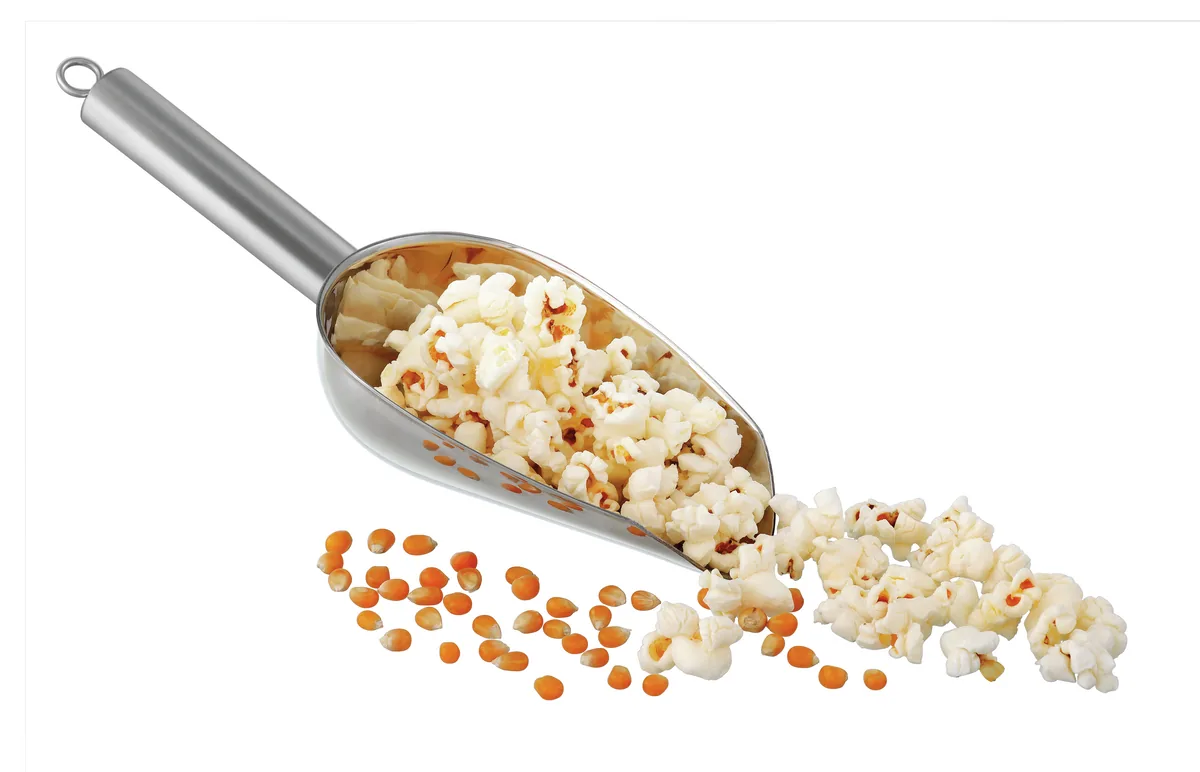 Food scoop 100