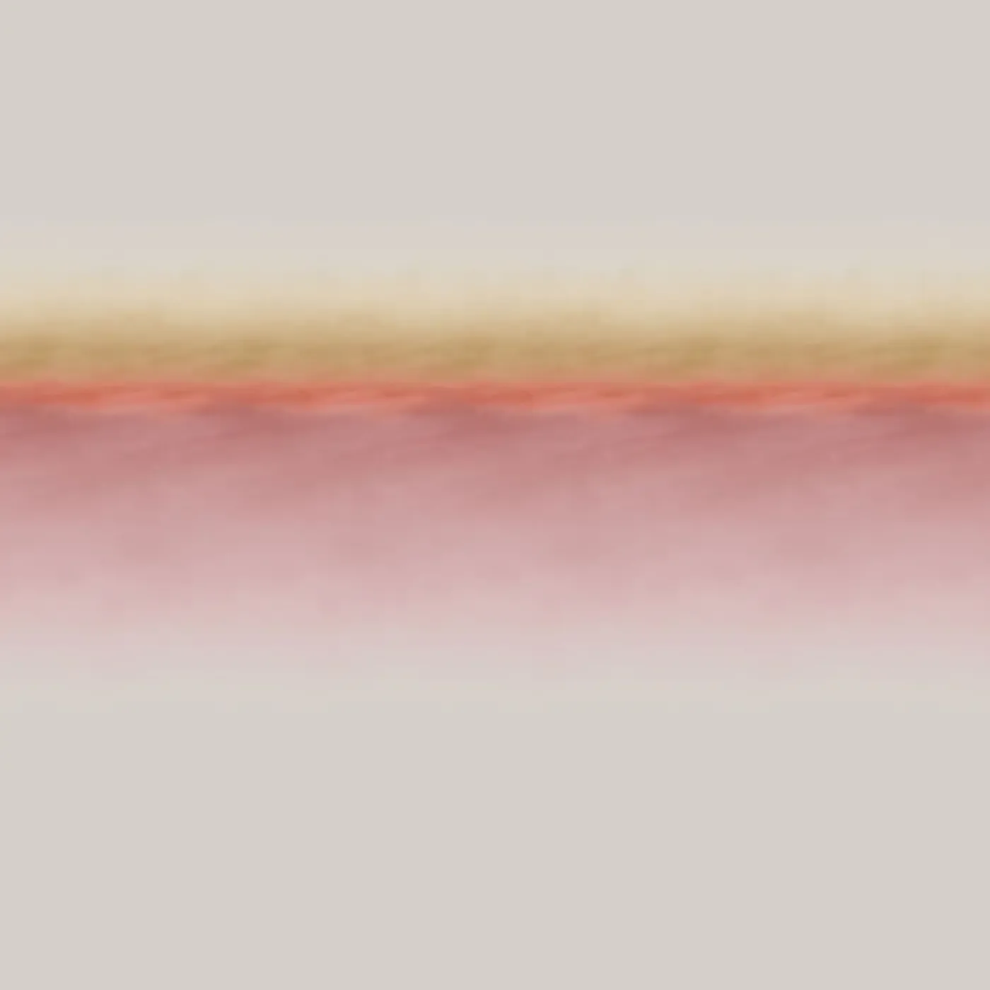 Blush DELINIGHT