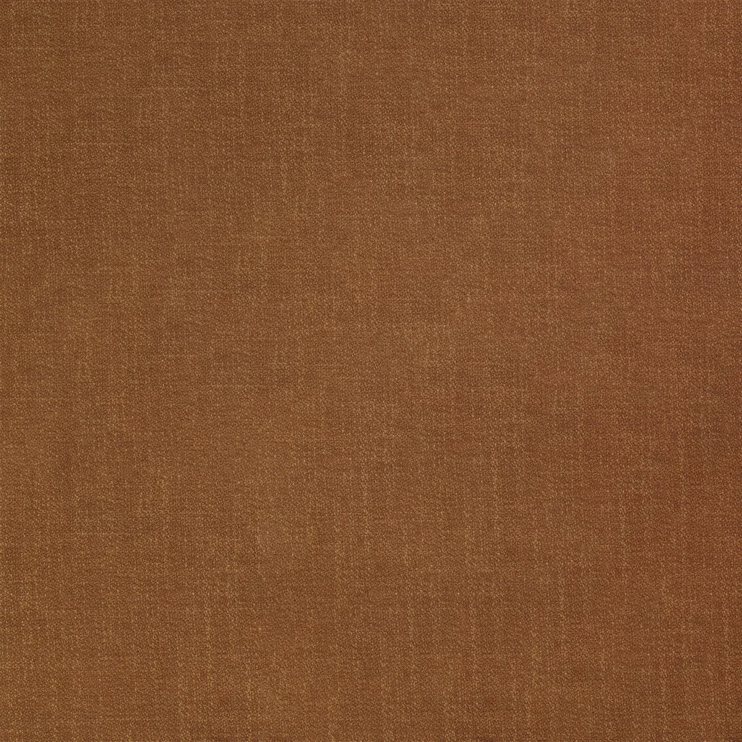 Cosmo Terre De Sienne