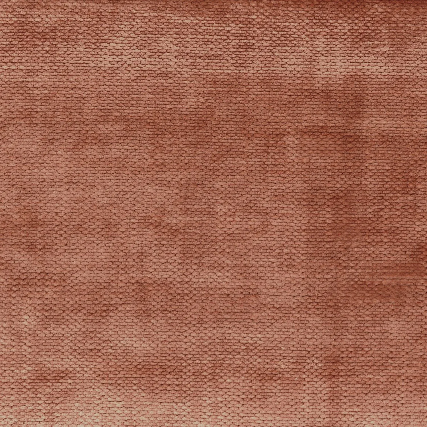 Demoiselle Terracotta