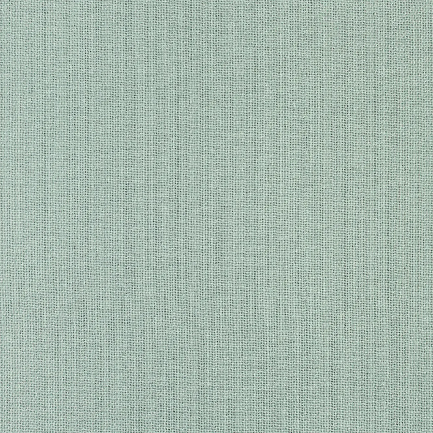 Ecoline Two DIMOUT