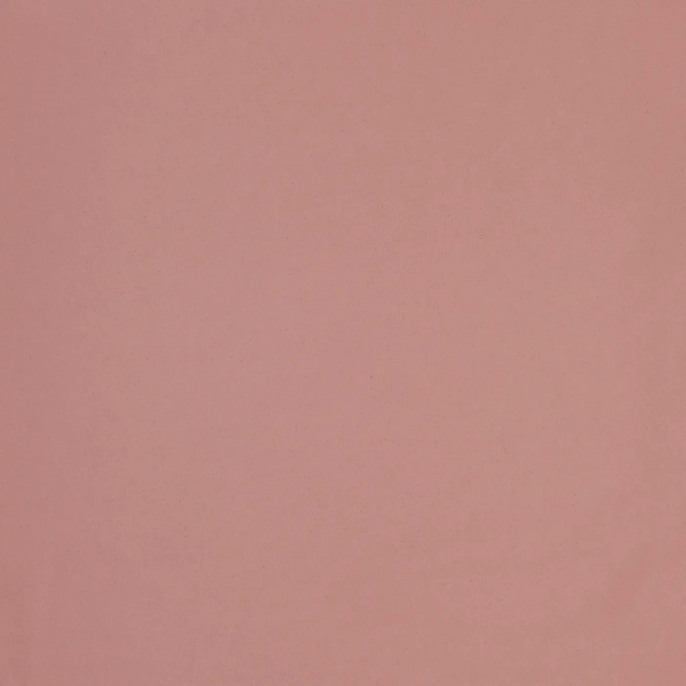 Soft Colour DELINIGHT